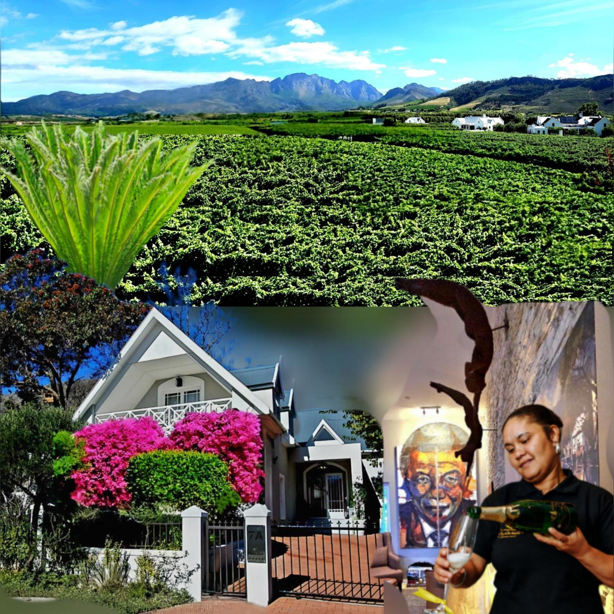 Fleur Du Soleil Luxury Guesthouse Franschhoek Luaran gambar